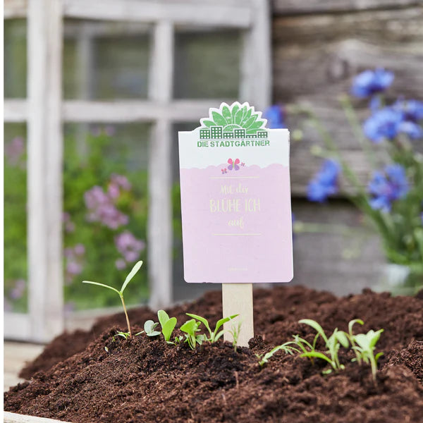 Die Stadtgärtner Saatgrüße - Mit dir blühe ich auf - Wildblumen