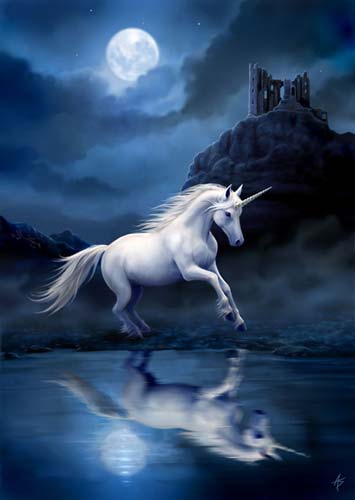 Anne Stokes Grußkarte Moonlight Unicorn