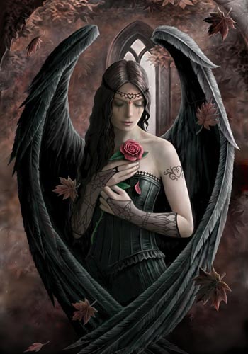 Anne Stokes Grußkarte Angel Rose