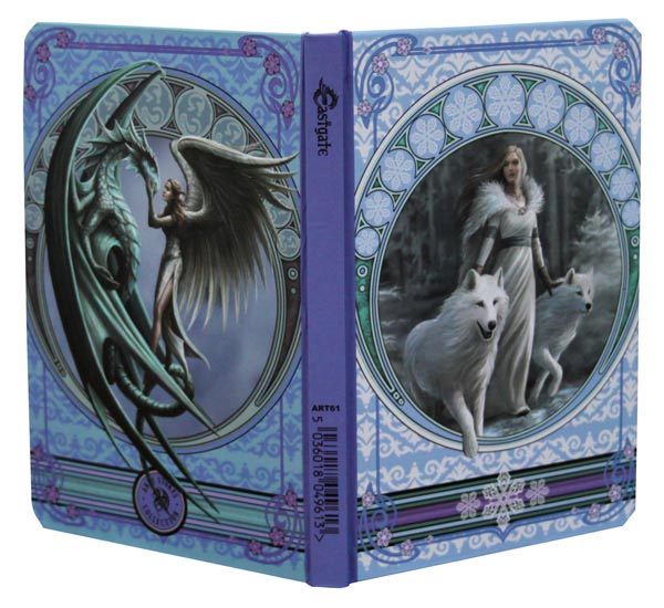 Anne Stokes Notizbuch Winter Guardians